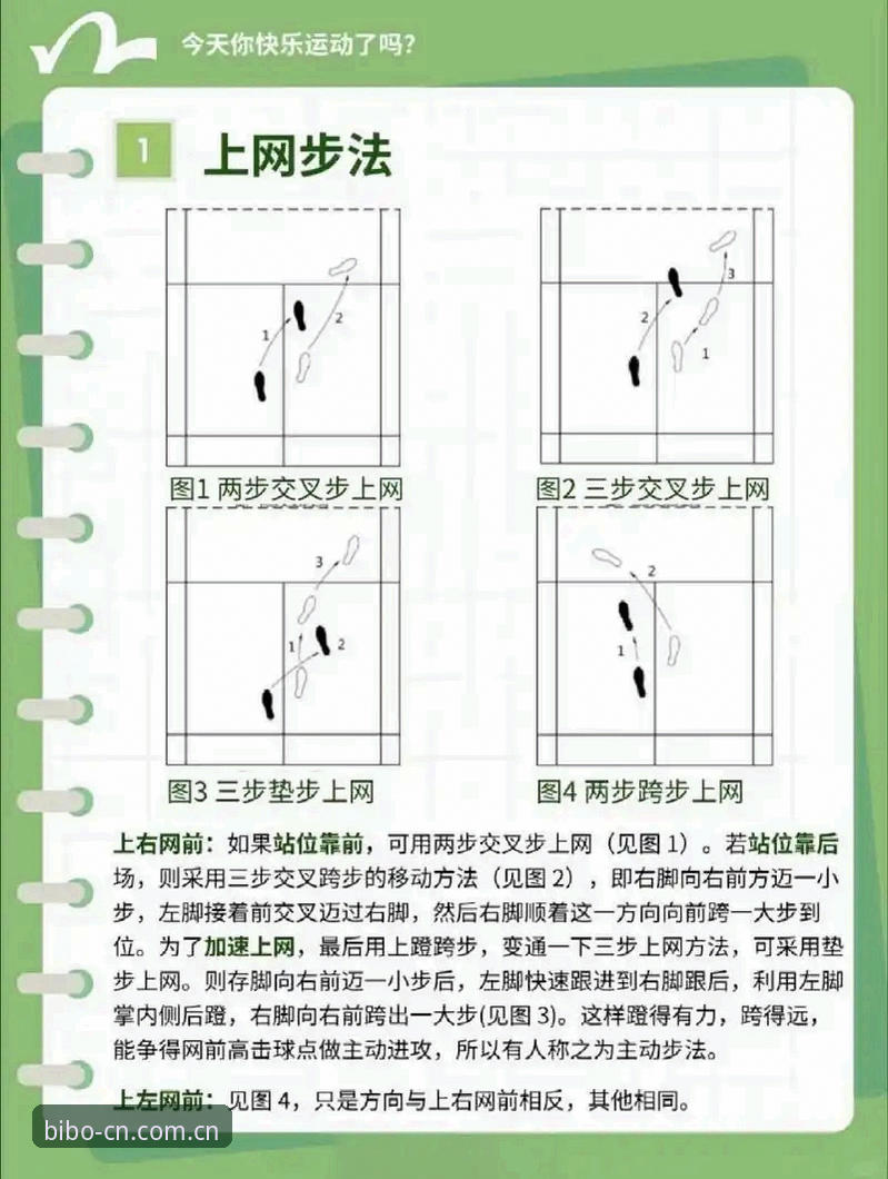 从一片荒芜到数据自由：网球数据必博体育官网中国官方主站下载不了怎么办实操教程